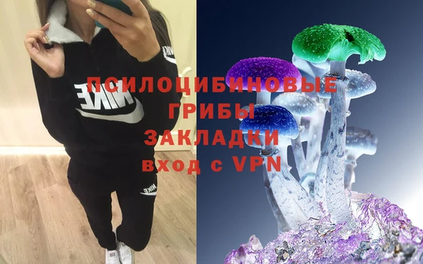 винт Абинск