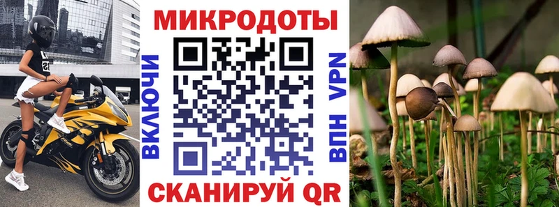 блэк спрут   купить наркотик  Скопин  Псилоцибиновые грибы ЛСД 